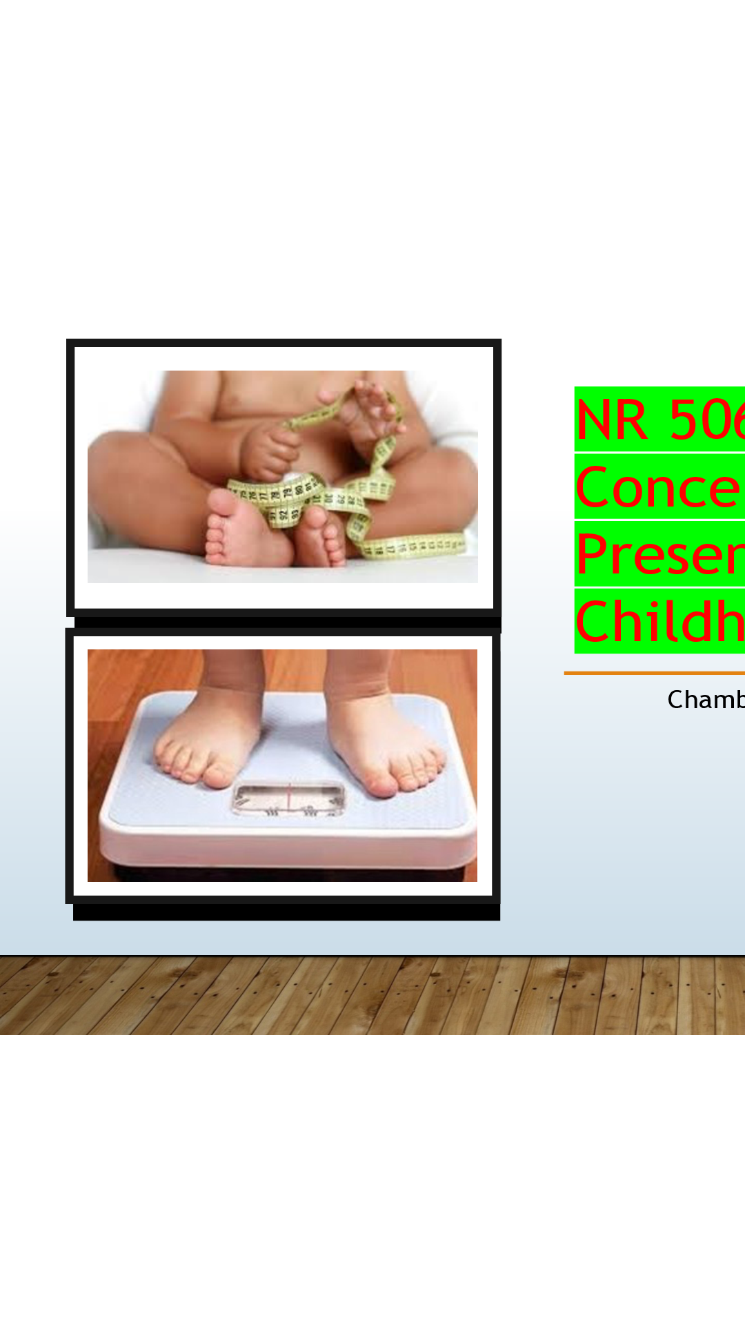 Preview of NR 506-Healthcare Concern Summary Presentation: Childhood Obesity